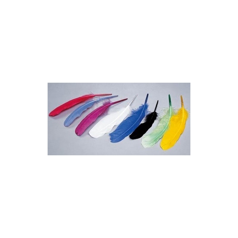 Plumas de oca, multicolor