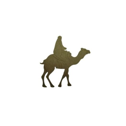 Camello con beduino